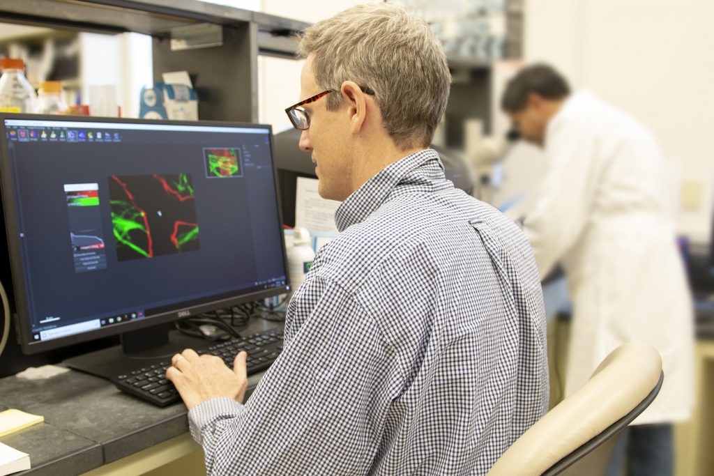 Researchers working with participant