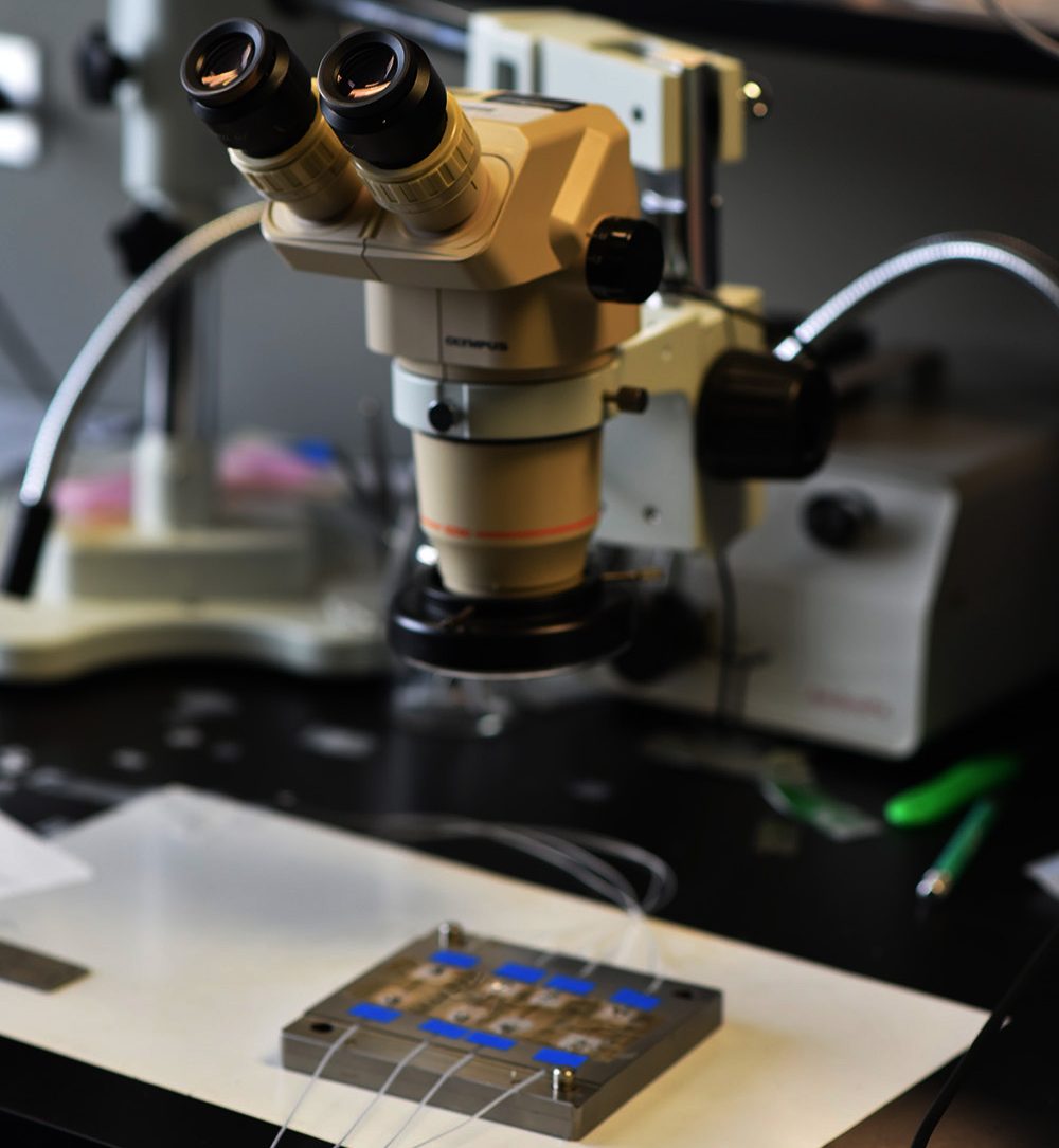 Neuroinflammation and cardio-respiratory circuits study