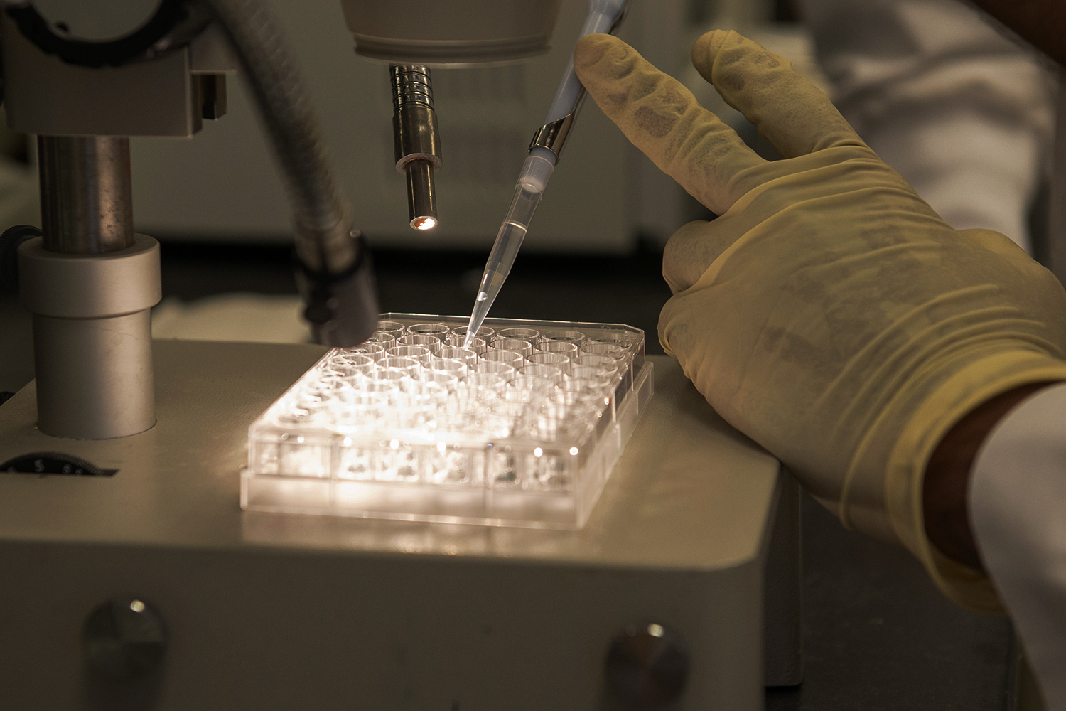 Neural control of the ocular surface study