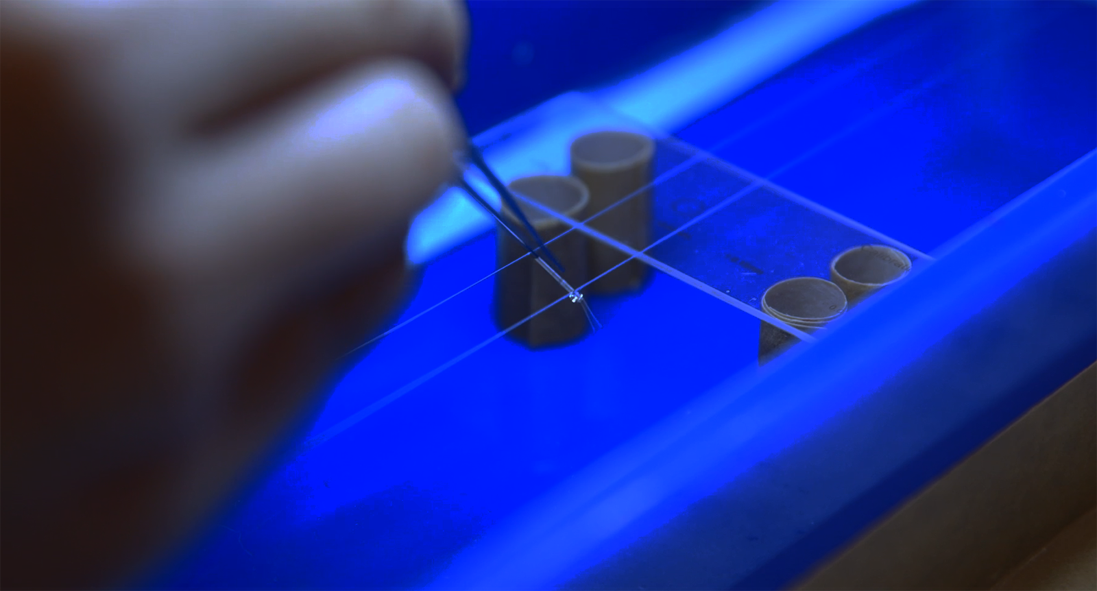 Seizure control by electric field control study