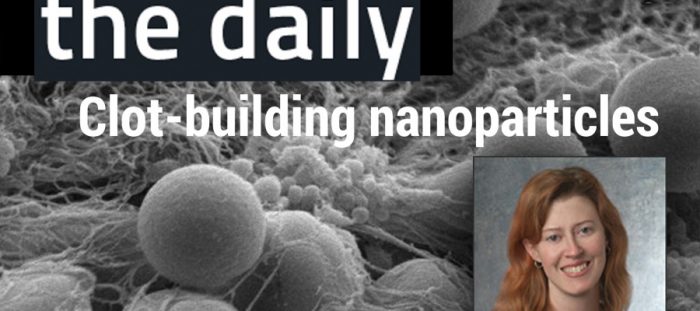 nano-image1-900×400