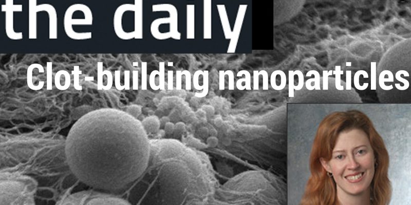 nano-image1-900×400