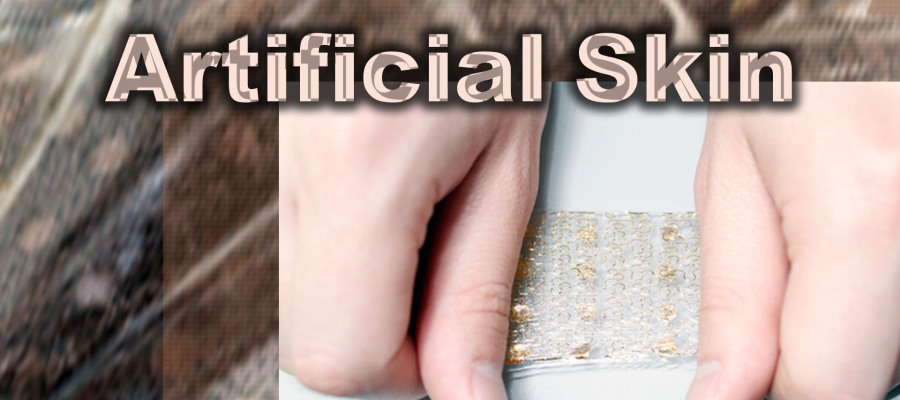 artificial-skin1-900×400