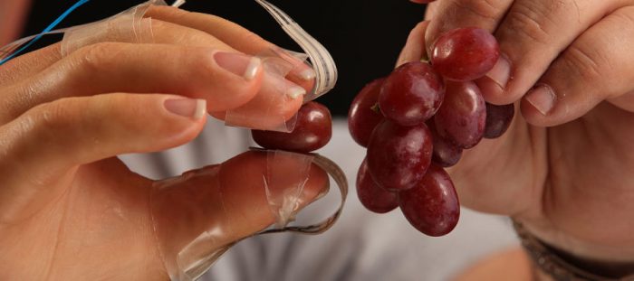 csm_Keith_grapes_7x5_2851b91571-900×400