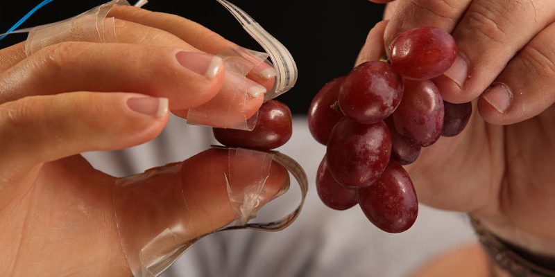 csm_Keith_grapes_7x5_2851b91571-900×400