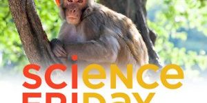 sci-fri-300×200