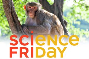 sci-fri-300×200