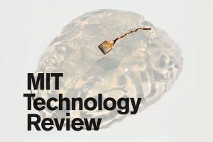 MIT2017review-300×200