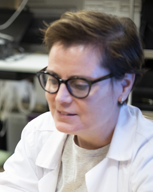 TERRI HISEL, OTR/L, MBA
